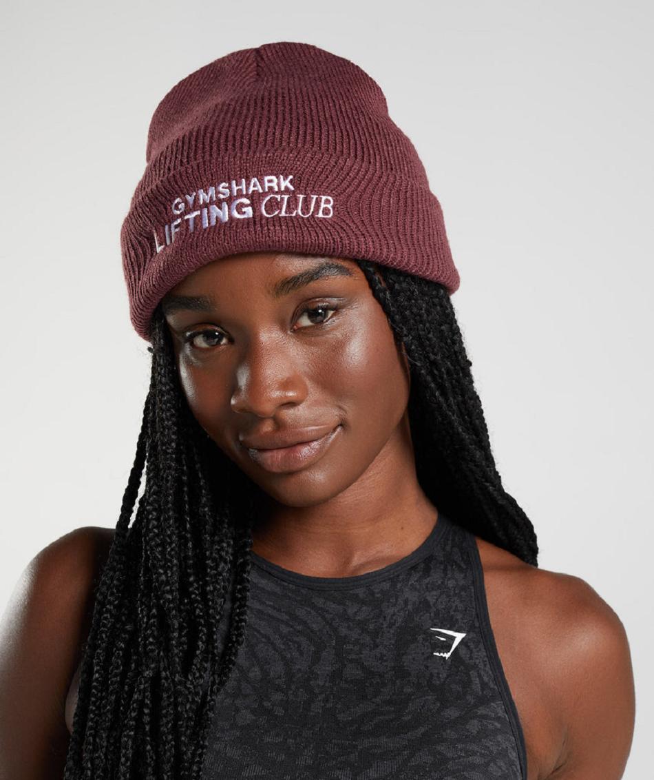 Gymshark Social Club Beanie Accessories Šeširi Roze Smeđe | HR 2085LIS